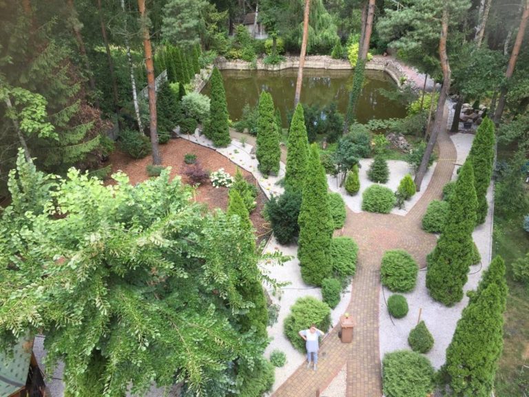 sarna_basia_w_ogrodzie_8688001963