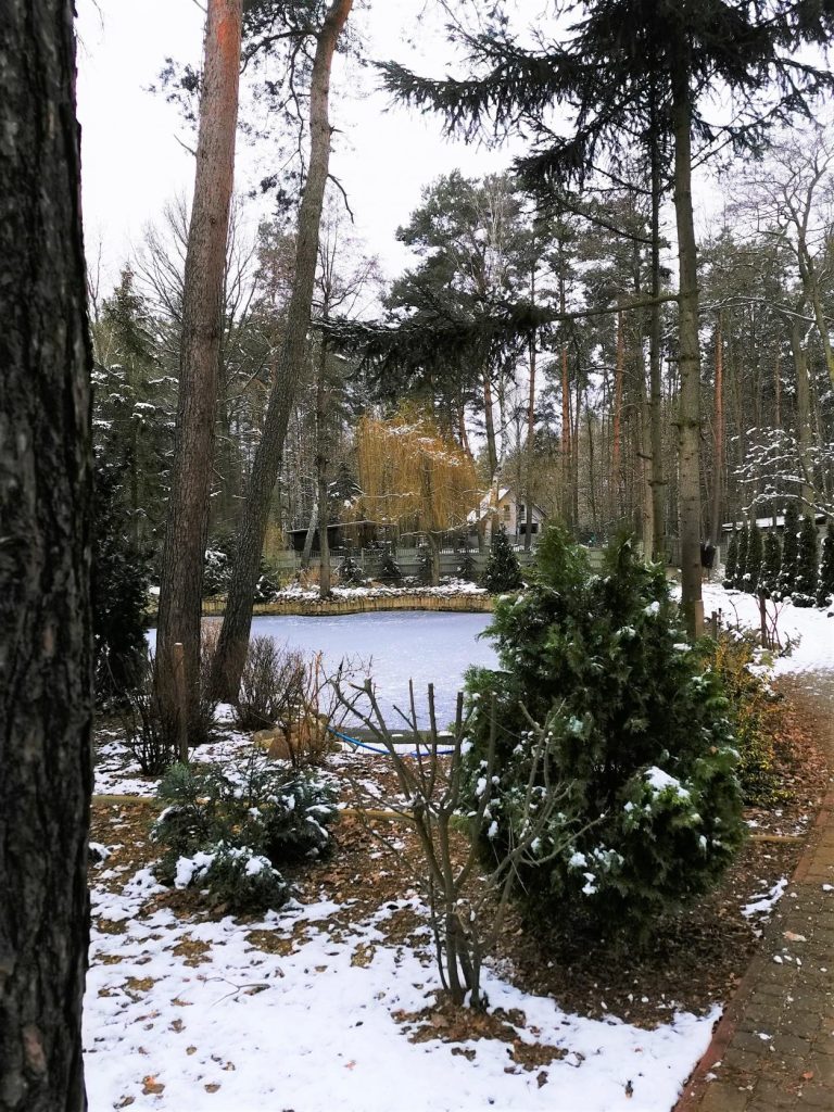 zima_w_naszym_ogrodzie_8409719928