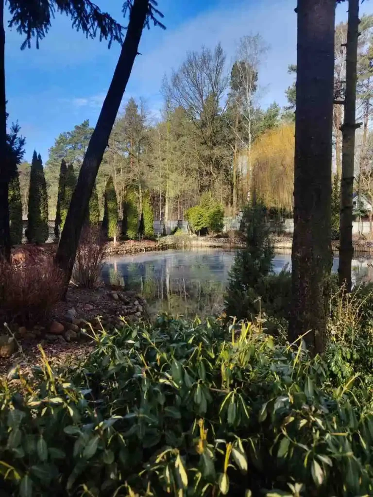 Ogród DPS Nad Strumykiem