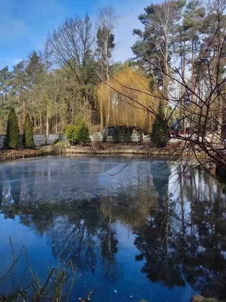 Wiosenne oczko wodne