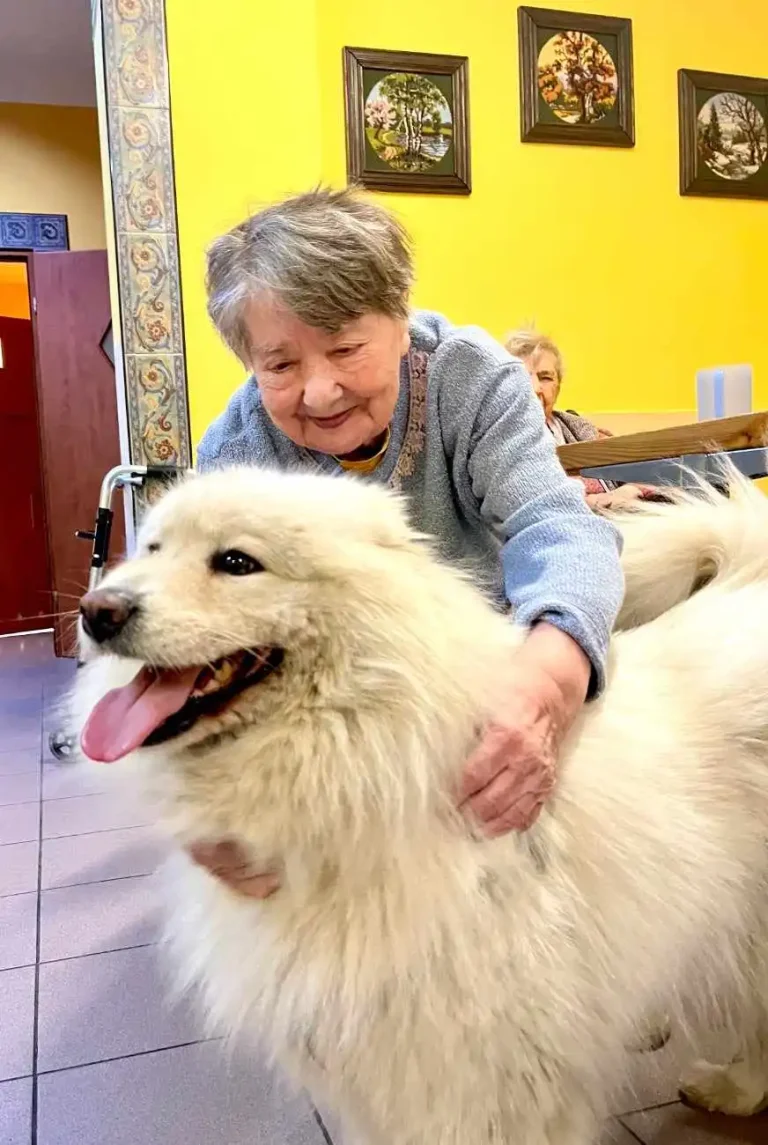 Pies w DPS z mieszkańcami