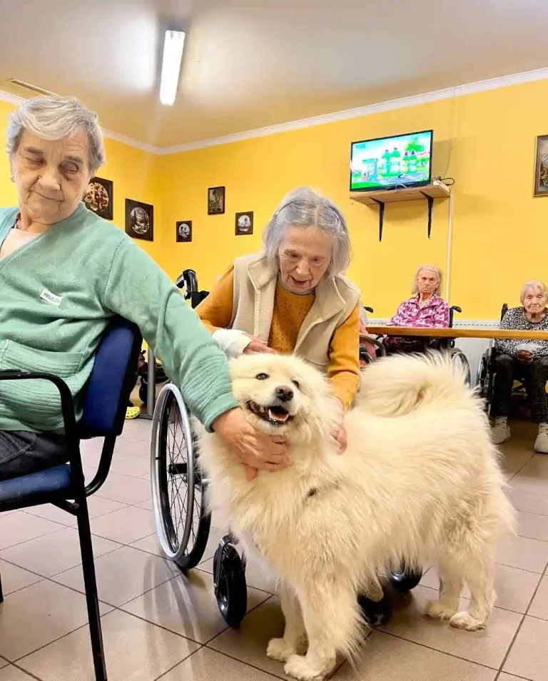 Seniorka głaszcze psa